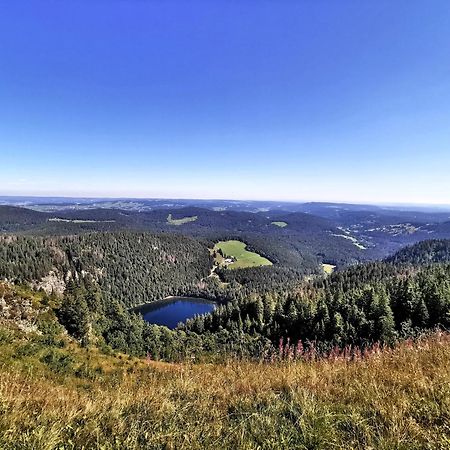 Residenz Grafenmatt "Abendsonne" Lejlighed Feldberg  Eksteriør billede