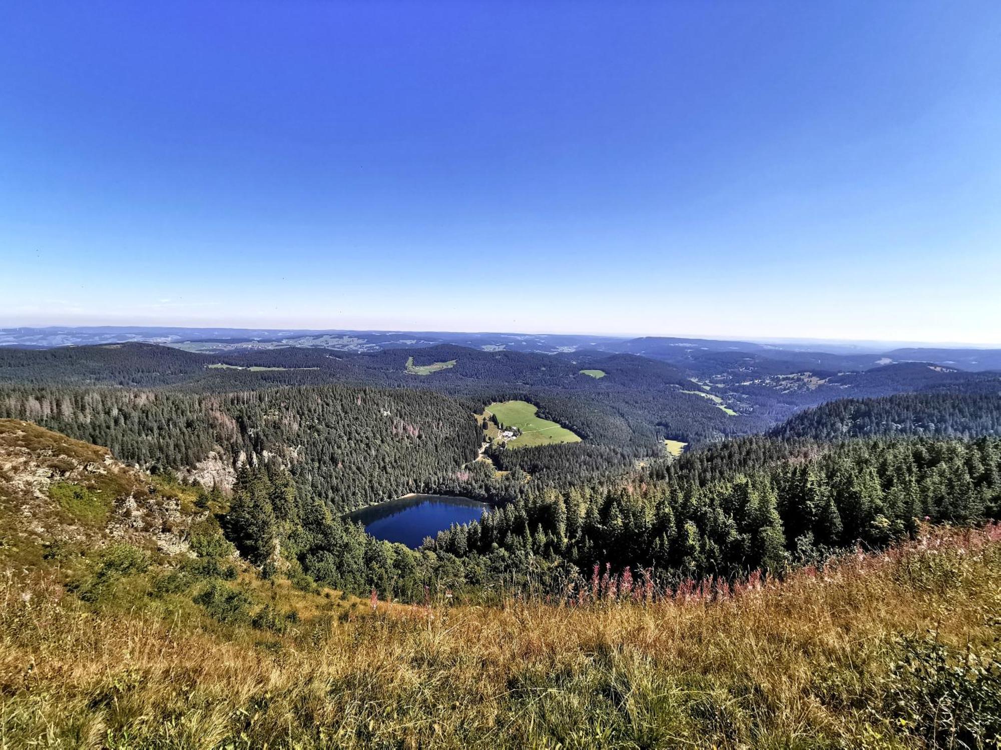 Residenz Grafenmatt "Abendsonne" Lejlighed Feldberg  Eksteriør billede